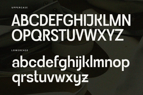 376 Preview_Rovique_0006_7.jpg