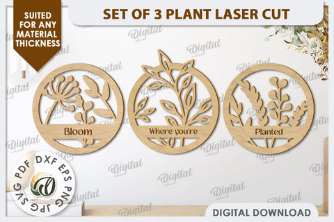 3D Plants Wall Decor Laser Cut Bundle. Home Decor SVG SVG Evgenyia Guschina 