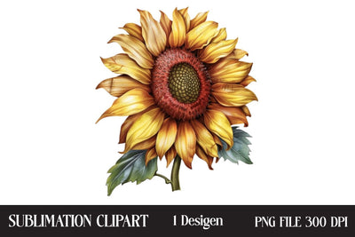 4th of July Sunflower Clipart,Illustrator Clipart,Quotes and Sayings,Food & Drink,On Sale, Print & Cut Sublimation Newmockups 
