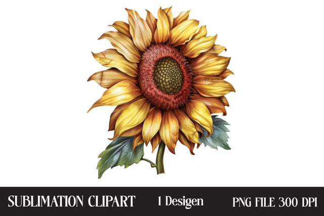 4th of July Sunflower Clipart,Illustrator Clipart,Quotes and Sayings,Food & Drink,On Sale, Print & Cut Sublimation Newmockups 