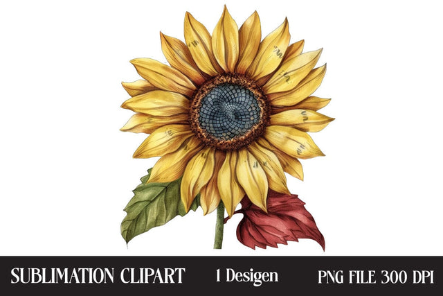 4th of July Sunflower Clipart,Illustrator Clipart,Quotes and Sayings,Food & Drink,On Sale, Print & Cut Sublimation Newmockups 