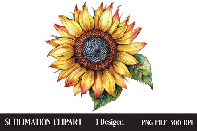 4th of July Sunflower Clipart,Illustrator Clipart,Quotes and Sayings,Food & Drink,On Sale, Print & Cut Sublimation Newmockups 