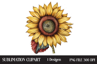 4th of July Sunflower Clipart,Illustrator Clipart,Quotes and Sayings,Food & Drink,On Sale, Print & Cut Sublimation Newmockups 