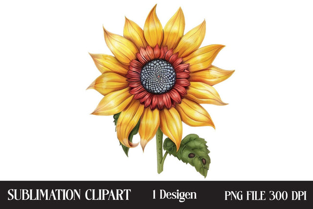 4th of July Sunflower Clipart,Illustrator Clipart,Quotes and Sayings,Food & Drink,On Sale, Print & Cut Sublimation Newmockups 