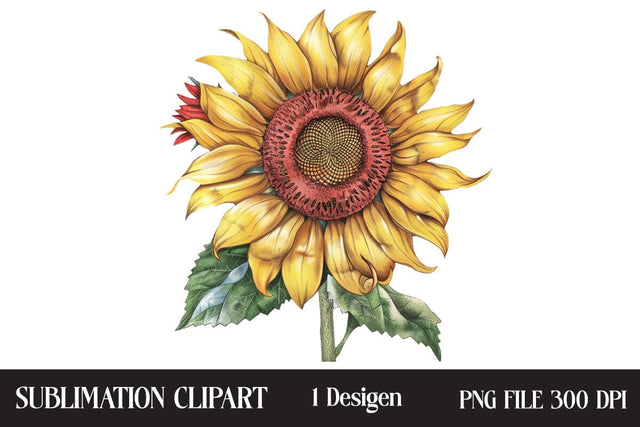 4th of July Sunflower Clipart,Illustrator Clipart,Quotes and Sayings,Food & Drink,On Sale, Print & Cut Sublimation Newmockups 