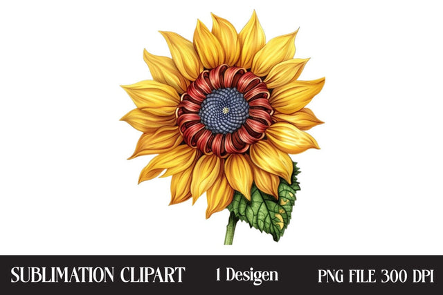 4th of July Sunflower Clipart,Illustrator Clipart,Quotes and Sayings,Food & Drink,On Sale, Print & Cut Sublimation Newmockups 