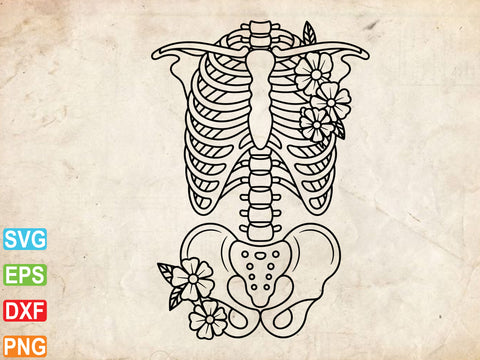 Floral Skeleton Anatomy SVG (1).jpg
