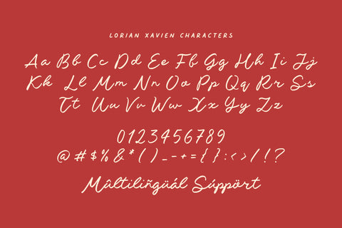 LORIAN XAVIEN HANDBRUSHED SCRIPT FONT (6).jpg