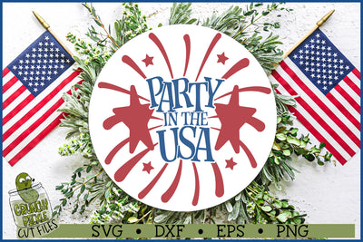 Party USA svg file sign.jpg