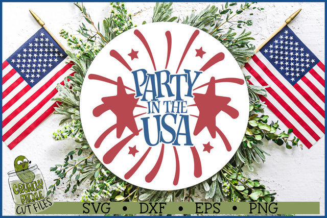 Party USA svg file sign.jpg