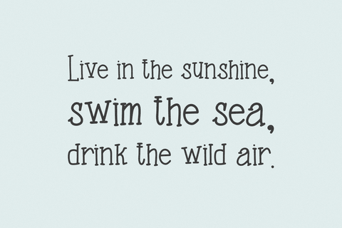 Riverbend Serif 4.png