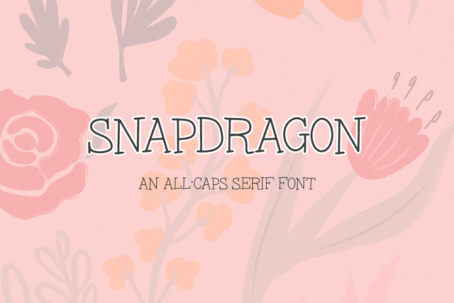 Snapdragon Serif 1.png