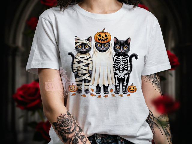 TS030726024A.jpg