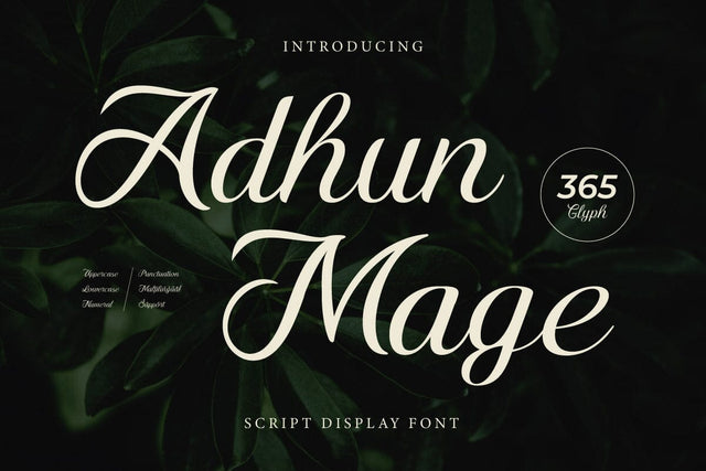 Adhun Mage - Script Font Font twinletter 
