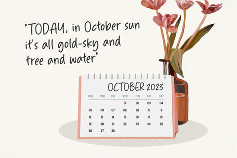 Admire Gustavo Font Font Balpirick 