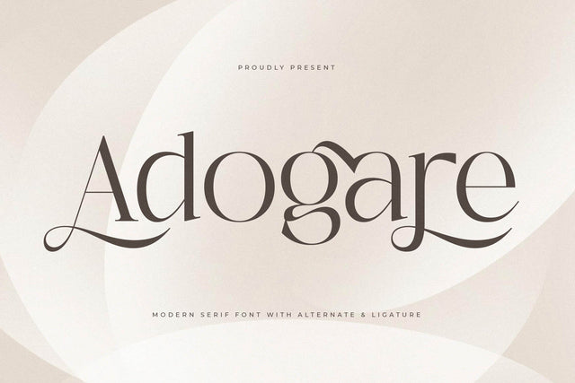 Adogare – Modern Serif Font Font Storytype Studio 
