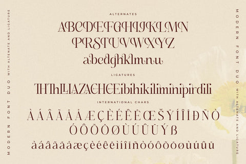 Adoretta Holland Font Duo Font Storytype Studio 