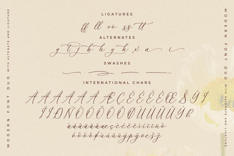 Adoretta Holland Font Duo Font Storytype Studio 