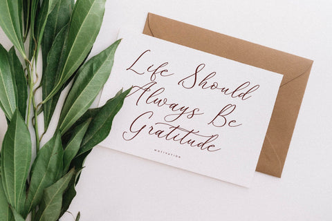 Adoretta Holland Font Duo Font Storytype Studio 