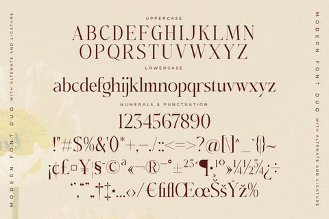 Adoretta Holland Font Duo Font Storytype Studio 