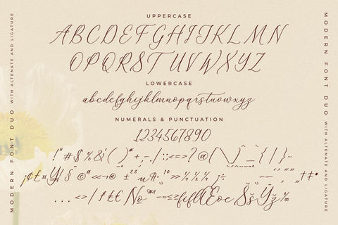 Adoretta Holland Font Duo Font Storytype Studio 