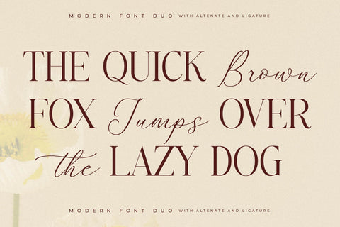 Adoretta Holland Font Duo Font Storytype Studio 