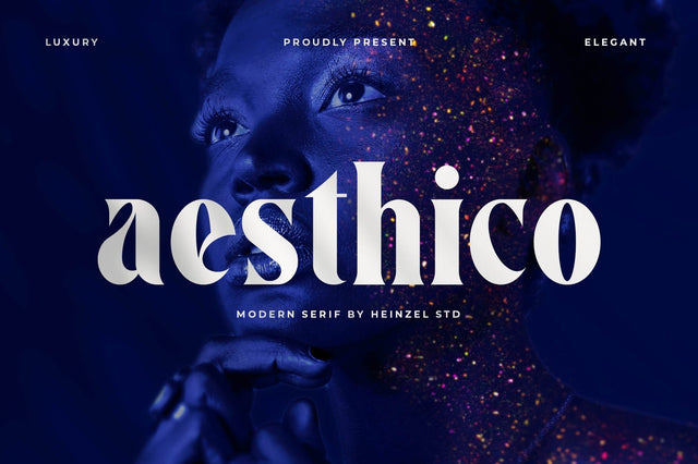 Aesthico Modern Serif Font Font Heinzel Studio 