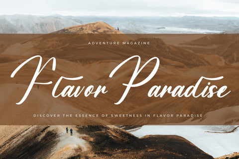 Aetholany Roterdam - Modern Bold Script Font Font Letterena Studios 