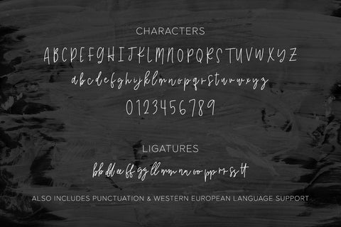 Affaire de Coeur Script Font Font Beck McCormick 