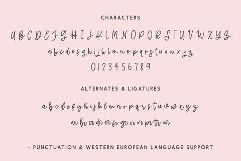Aftertaste Script Font Beck McCormick 