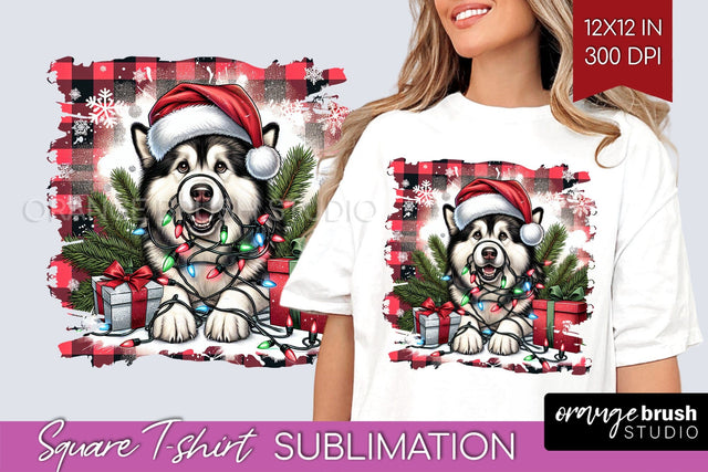 Alaskan Malamute Christmas Dog Square Tshirt PNG Sublimation OrangeBrushStudio 