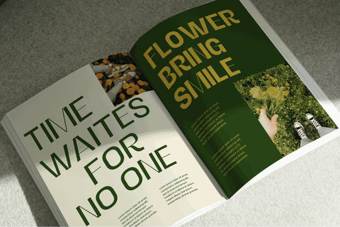 Alerio Font Zeenesia Std 