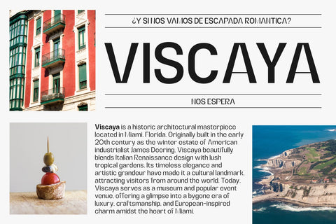 Alerio Font Zeenesia Std 