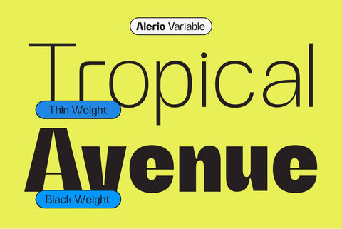 Alerio – Variable Font Font Zeenesia Std 