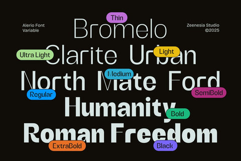 Alerio – Variable Font Font Zeenesia Std 