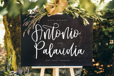 Alessandra Flowstar - Modern Handwritten Script Font Letterena Studios 