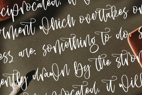 Alessandra Flowstar - Modern Handwritten Script Font Letterena Studios 