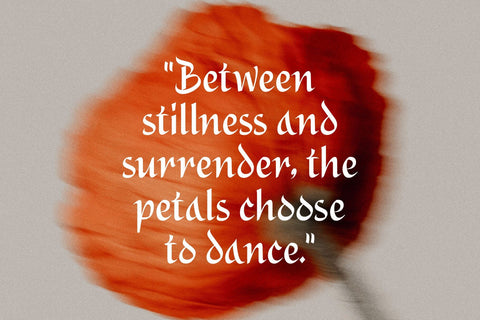 Alidin – Modern Medieval Display Font Four Lines Std. 