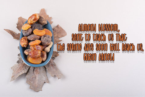 Almond Biscuits Font Dm Letter Studio 