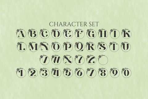 Alora Monogram Font Dm Letter Studio 