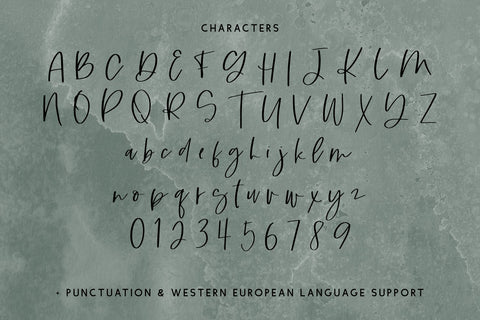 Alpines Script Font Beck McCormick 