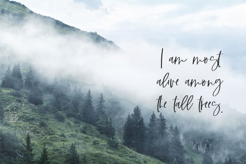 Alpines Script Font Beck McCormick 