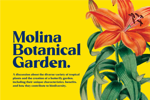 Althiera Font ahweproject 