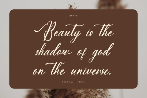 Amalfina Shinndy - Modern Beauty Script Font Letterena Studios 