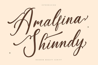 Amalfina Shinndy - Modern Beauty Script Font Letterena Studios 