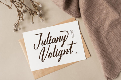 Amathery Bieckmon - Modern Bold Script Font Letterena Studios 