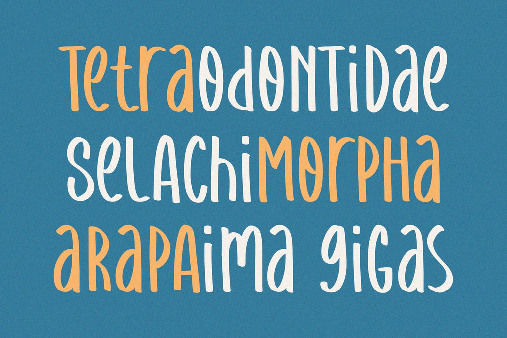 Amazing Dolphine - Handwriting Display Font - So Fontsy