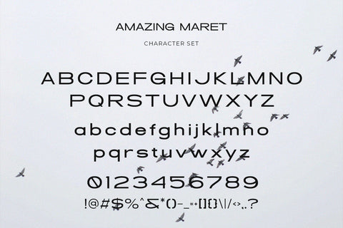 Amazing Maret - Modern Condensed Sans Serif Font studioalmeera 