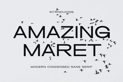 Amazing Maret - Modern Condensed Sans Serif Font studioalmeera 