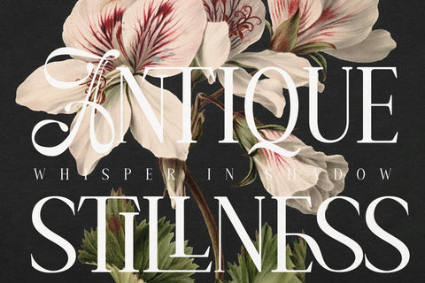 Amelissa Partis Font muhammadzeky 